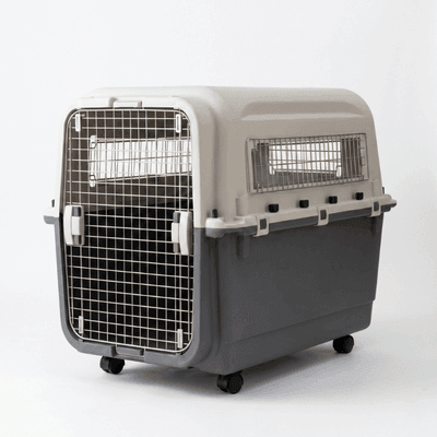Köpek Taşıma Ekipmanları