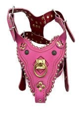 Özel Tasarım Pirinç Halkalı Lüks Deri Köpek Göğüs Tasması