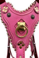 Özel Tasarım Pirinç Halkalı Lüks Deri Köpek Göğüs Tasması