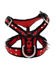 Kırmızı Golden Retriever Köpek Göğüs Tasması