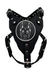 Siyah Doberman Köpek Göğüs Tasması