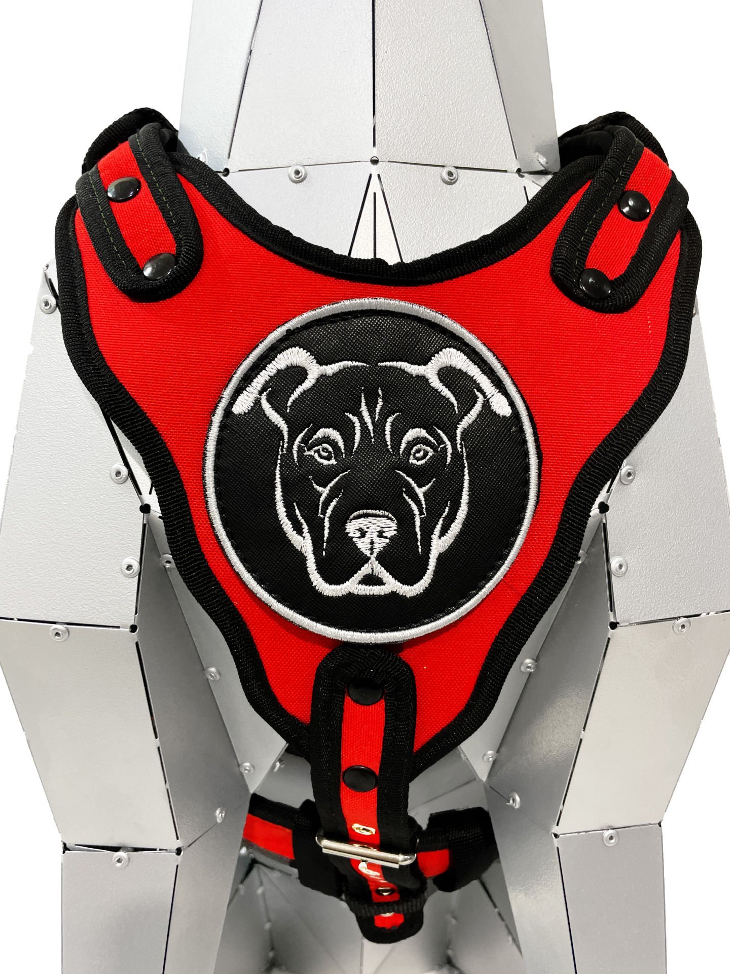 Kırmızı American Bully Köpek Göğüs Tasması