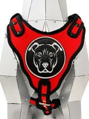 Kırmızı American Bully Köpek Göğüs Tasması