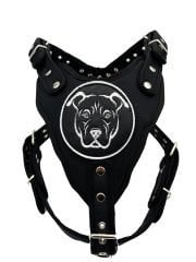 Siyah American Bully Köpek Göğüs Tasması