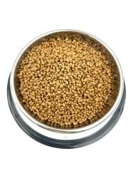 Büyük Boy Paslanmaz Çelik Kaydırmaz Tabanlı Köpek Mama ve Su Kabı 34CM