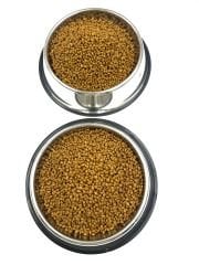 2 ADET Büyük Boy Çelik Kaydırmaz Tabanlı Köpek Mama ve Su Kabı 34CM