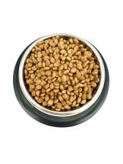 15 cm Paslanmaz Çelik Kaydırmaz Mama Kabı – Kedi & Köpek İçin