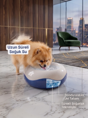 Kedi ve Köpek Soğutucu Mama ve Su Kabı - 350 ml (16 cm)