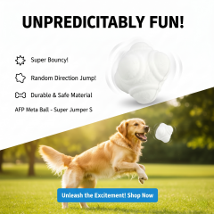 Dayanıklı Zıplayan Köpek Oyun Topu - S (6.3 cm)