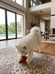 Pastırma Aromalı Dayanıklı Köpek Çiğneme Kemiği Oyuncağı (12x8x4 cm)