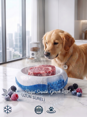Soğutuculu Kedi ve Köpek Mama Kabı – Dondurulabilir Jelli 500 ml / 20 cm