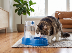 Otomatik Damacana Kedi ve Köpek Su Kabı (1.5 Litre)