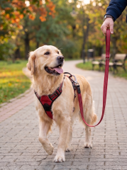 Reflektörlü Köpek Gezdirme Tasması 120 cm - 1.5 cm (Kırmızı)
