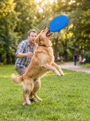 Köpek Frizbi Oyuncağı 23 cm | Dayanıklı Uçan Disk (Mavi)