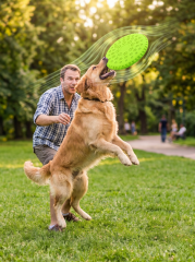 Köpek Frizbi Oyuncağı 23 cm | Diş Dostu Eğitim & Eğlence (Yeşil)