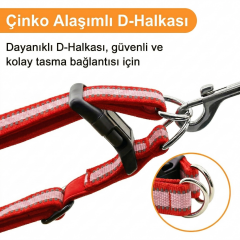 Sağlam Klipsli Reflektörlü Köpek Tasması S-L (Kırmızı)