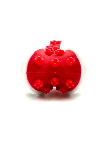 Biftek Aromalı Köpek Diş Kaşıma Oyuncağı - 13cm (Kırmızı)