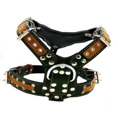 Özel Tasarım Spartalı Kasklı Köpek Göğüs Tasması