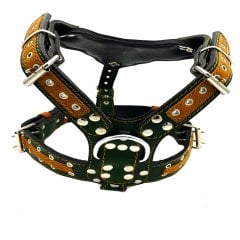 Özel Tasarım Spartalı Kasklı Köpek Göğüs Tasması