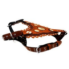 Özel Tasarım Aslan Başlı Deri İşlemeli Köpek Göğüs Tasması