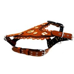 Özel Tasarım Aslan Başlı Deri İşlemeli Köpek Göğüs Tasması