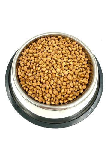 Paslanmaz Çelik Kedi ve Köpek Mama ve Su Kabı - Kaymaz Taban 22cm