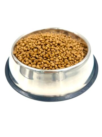 Paslanmaz Çelik Kedi ve Köpek Mama ve Su Kabı - Kaymaz Taban 26cm