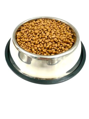Paslanmaz Çelik Kedi ve Köpek Mama ve Su Kabı - Kaymaz Taban 26cm