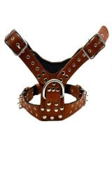 Özel Tasarım Antik Görünümlü Deri Köpek Göğüs Tasması