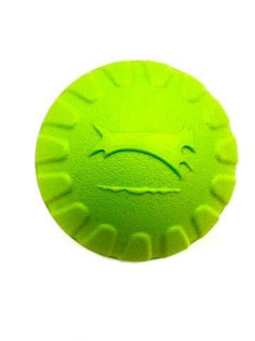 Köpek Eğitim Topu - Suda Batmaz Köpek Oyuncağı 9cm (Yeşil)