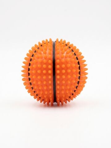 Işıklı Köpek Oyun Topu - Zıplayan Basketbol Topu Tasarımlı (6.5cm)