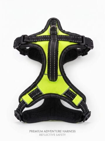 Y-Tipi Reflektörlü Köpek Göğüs Tasması - Sırt Tutmalı Yeşil (M) 55-65cm