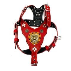 Aslan Başlı Lüks Deri Köpek Göğüs Tasması