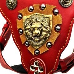 Aslan Başlı Lüks Deri Köpek Göğüs Tasması
